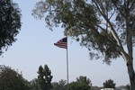 Thumb for img_0065.jpg (129 KB)
