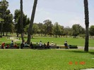 Thumb for 05g014.jpg (114 KB)