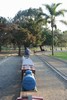 Thumb for img_4538.jpg (1485 KB)