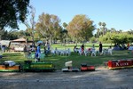 Thumb for img_4631.jpg (2060 KB)