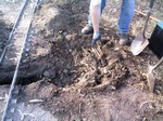 Thumb for trench05.jpg.jpg (379 KB)