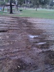 Thumb for trench12.jpg.jpg (132 KB)